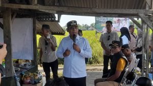 id11385_IMG-20250407-WA0015