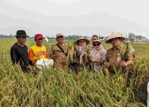 id12031_Compress_20250812_183842_2826